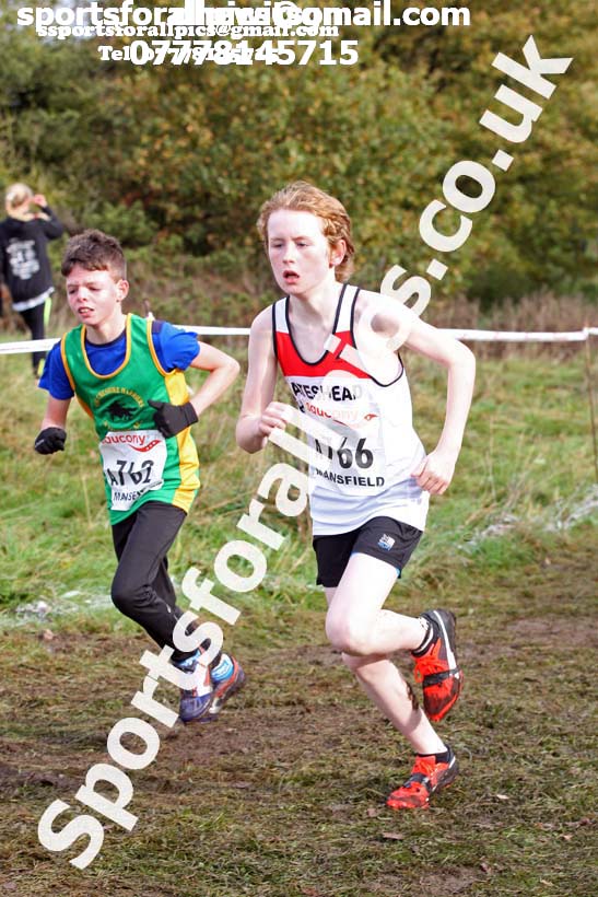 Boys under-13s National Cross Country Relay, Berry Hill Park, Mansfield. Photo:  David T. Hewitson/Sports for All Pics